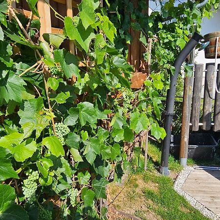 호헨스반트 Blockhaus Im Sueden Deutschlands 빌라 외부 사진